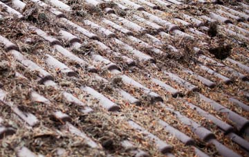 Bodley roof cleaning companies